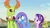 Size: 1920x1080 | Tagged: safe, derpibooru import, screencap, starlight glimmer, thorax, trixie, changedling, changeling, pony, unicorn, to change a changeling, king thorax