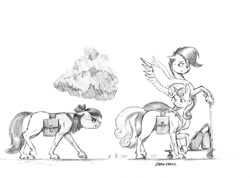 Size: 1500x1065 | Tagged: safe, artist:baron engel, apple bloom, scootaloo, sweetie belle, pony, angry, cloud, cutie mark crusaders, female, filly, grayscale, looking back, mare, monochrome, pencil drawing, scooter, simple background, traditional art, trio, white background