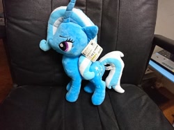 Size: 960x720 | Tagged: safe, derpibooru import, trixie, irl, photo, plushie, solo