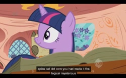 Size: 640x400 | Tagged: dead source, safe, derpibooru import, screencap, owlowiscious, twilight sparkle, owl's well that ends well, ei, hub logo, youtube caption