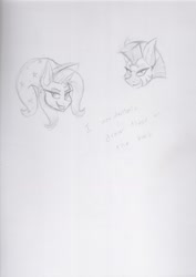 Size: 1240x1753 | Tagged: safe, artist:lil miss jay, derpibooru import, trixie, zecora, unicorn, zebra, grin, sketch, smiling, traditional art