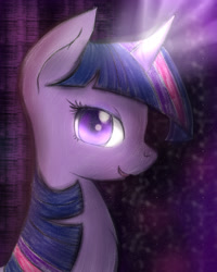 Size: 1200x1500 | Tagged: safe, artist:dshou, derpibooru import, twilight sparkle, pony, unicorn, female, glowing horn, mare, purple coat, solo