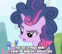 Size: 648x566 | Tagged: safe, derpibooru import, edit, edited screencap, screencap, twilight sparkle, friendship is magic, caption, messy mane