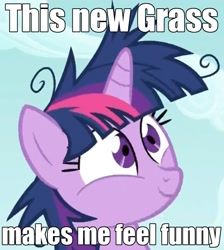 Size: 647x722 | Tagged: safe, derpibooru import, twilight sparkle, drugs, high, image macro, insanity, twilight snapple