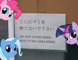 Size: 540x419 | Tagged: safe, derpibooru import, pinkie pie, trixie, twilight sparkle, earth pony, pony, engrish, japanese, reaction image, translated in the comments, twiface, wrong neighborhood