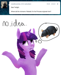 Size: 700x861 | Tagged: safe, artist:dilemarex, derpibooru import, twilight sparkle, mole (animal), ask, ask twilight sparkle, princess molestia