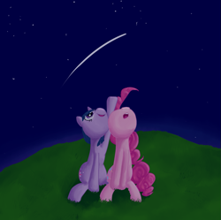 Size: 985x980 | Tagged: safe, artist:qaxis, derpibooru import, pinkie pie, twilight sparkle, earth pony, pony, shooting star, stargazing