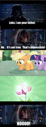 Size: 584x1600 | Tagged: safe, derpibooru import, applejack, twilight sparkle, earth pony, pony, big no, darth vader, luke skywalker, meme, seeds of truth