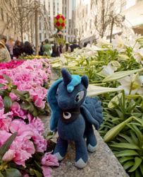 Size: 1053x1300 | Tagged: artist needed, safe, princess luna, irl, photo, plushie, solo