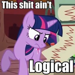 Size: 300x300 | Tagged: safe, derpibooru import, twilight sparkle, image macro, meme, vulgar