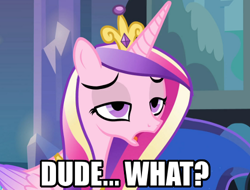 Size: 500x380 | Tagged: safe, princess cadance, princess luna, alicorn, pony, dude, image macro, meme, reaction image, solo, wat