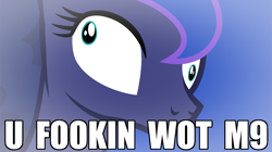 Size: 1120x629 | Tagged: safe, artist:beavernator, princess luna, alicorn, pony, image macro, meme, reaction image, semi-vulgar, u wot m8