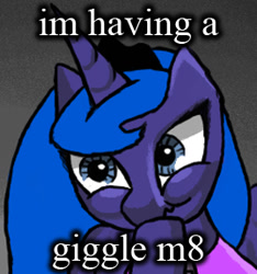 Size: 269x288 | Tagged: safe, artist:swoot, princess luna, alicorn, pony, cropped, cute, giggling, grammar error, image macro, meme, solo, u wot m8