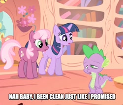 Size: 652x556 | Tagged: safe, derpibooru import, screencap, cheerilee, spike, twilight sparkle, dragon, the show stoppers, caption, implied