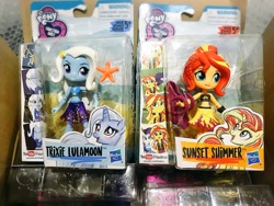 Size: 1200x900 | Tagged: safe, derpibooru import, sunset shimmer, trixie, better together, equestria girls, forgotten friendship, doll, equestria girls minis, irl, photo, toy