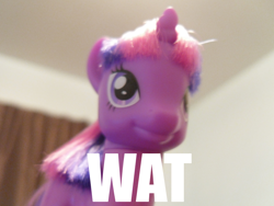 Size: 900x675 | Tagged: safe, derpibooru import, twilight sparkle, doll, reaction image, wat