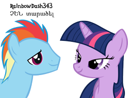 Size: 6000x4602 | Tagged: safe, artist:yourfavoritesenpai, derpibooru import, rainbow blitz, rainbow dash, twilight sparkle, pegasus, pony, absurd resolution, armenian, female, half r63 shipping, male, rule 63, shipping, straight, twiblitz, twidash