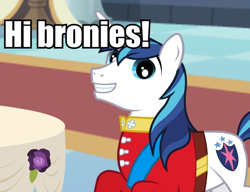 Size: 740x569 | Tagged: safe, shining armor, pony, unicorn, bronybait, faic, fourth wall, image macro, wedding cake creator