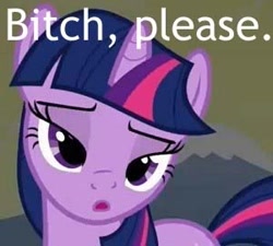 Size: 300x270 | Tagged: safe, derpibooru import, twilight sparkle, bedroom eyes, bitch please, caption, image macro, reaction image, vulgar