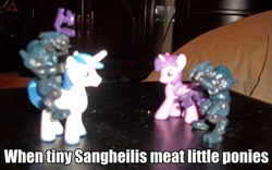 Size: 877x548 | Tagged: safe, shining armor, twilight sparkle, pony, unicorn, blind bag, halo (series), irl, meat, photo, sangheili, toy