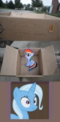 Size: 1320x2656 | Tagged: safe, derpibooru import, rainbow dash, trixie, pegasus, pony, fanfic:my little dashie, dashie meme, exploitable meme, meme, momma trixie, neutral people finding dash meme