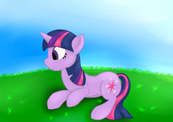 Size: 4092x2893 | Tagged: safe, artist:sidhenearlahi, derpibooru import, twilight sparkle, pony, unicorn, female, mare, purple coat, solo