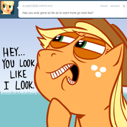 Size: 500x500 | Tagged: safe, artist:hotdiggedydemon, applejack, earth pony, pony, ask, ask jappleack, female, jappleack, mare, solo