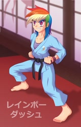 Size: 902x1420 | Tagged: safe, artist:agu-fungus, rainbow dash, human, barefoot, black belt, dojo, feet, female, fighting gloves, gi, humanized, japanese, karate, martial arts, solo