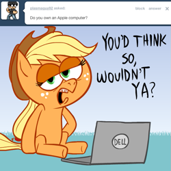 Size: 615x615 | Tagged: safe, artist:hotdiggedydemon, applejack, earth pony, pony, ask jappleack, computer, dell, female, jappleack, laptop computer, mare, sitting, solo