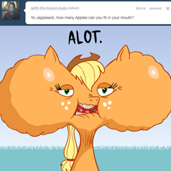 Size: 615x615 | Tagged: safe, artist:hotdiggedydemon, applejack, earth pony, pony, ask, ask jappleack, cheeks, female, jappleack, mare, solo