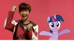 Size: 900x506 | Tagged: safe, artist:ryeguy5, derpibooru import, twilight sparkle, crossover, goseiger, photo, super sentai