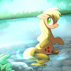 Size: 1000x1000 | Tagged: safe, artist:madmax, applejack, earth pony, pony, colored pupils, cutie mark, female, grass, hatless, looking back, loose hair, mare, missing accessory, pond, sitting, solo, tree, water, wet mane