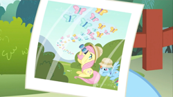 Size: 1600x900 | Tagged: safe, screencap, fluttershy, rainbow dash, butterfly, pegasus, pony, dragon quest, angry, binoculars, bored, butterfly migration, cute, dashabetes, duo, female, hat, looking up, madorable, mare, migration, photo, picture, pith helmet