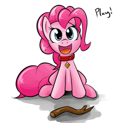 Size: 1280x1280 | Tagged: dead source, safe, artist:grumblepluck, pinkie pie, earth pony, pony, behaving like a dog, collar, cute, dialogue, diapinkes, female, fetch, fetch!, mare, name tag, one word, open mouth, pet play, pet tag, puppy pie, sitting, solo, stick