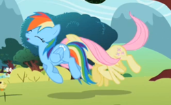 Size: 344x211 | Tagged: safe, screencap, fluttershy, rainbow dash, duck, pegasus, pony, may the best pet win, duckling, duo, female, flying, mare, out of context