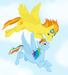 Size: 1000x1109 | Tagged: safe, artist:cartoonlion, rainbow dash, spitfire, pegasus, pony, duo, female, flying, goggles, mare, sky