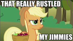 Size: 598x340 | Tagged: safe, edit, edited screencap, screencap, applejack, earth pony, pony, applejack is not amused, female, image macro, jimmies, mare, meme, rustled my jimmies, solo