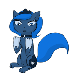 Size: 576x576 | Tagged: safe, artist:artylovr, princess luna, cat, simple background, solo, species swap