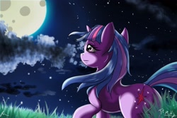 Size: 3000x2000 | Tagged: safe, artist:72-hours-remain, derpibooru import, twilight sparkle, unicorn twilight, pony, unicorn, grass, high res, moon, night, solo, stars, windswept mane