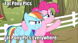 Size: 960x539 | Tagged: safe, edit, edited screencap, screencap, pinkie pie, rainbow dash, earth pony, pegasus, pony, duo, duo female, female, image macro, mare, x x everywhere