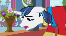 Size: 638x346 | Tagged: safe, screencap, shining armor, pony, unicorn, horn, invisible mare, male, out of context, stallion, white coat