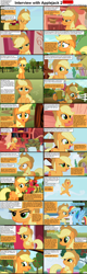 Size: 1282x4019 | Tagged: safe, screencap, applejack, big macintosh, rainbow dash, earth pony, pegasus, pony, comic:celestia's servant interview, caption, comic, derp, female, interview, male, mare, stallion, who's a silly pony