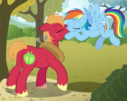 Size: 695x550 | Tagged: safe, artist:brianblackberry, big macintosh, rainbow dash, earth pony, pegasus, pony, female, kissing, male, mare, rainbowmac, shipping, stallion, straight, tree