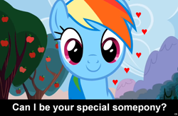 Size: 1024x671 | Tagged: safe, edit, edited screencap, screencap, rainbow dash, pegasus, pony, bronybait, caption, cs captions, female, heart, implied, looking at you, love, mare, smiling, solo, special somepony