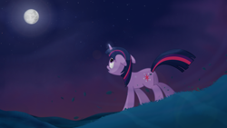 Size: 1920x1080 | Tagged: safe, artist:regolithx, derpibooru import, twilight sparkle, pony, unicorn, female, mare, night, purple coat, solo