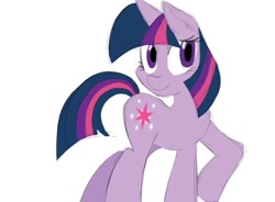 Size: 640x470 | Tagged: safe, artist:sweethd, derpibooru import, twilight sparkle, pony, unicorn, female, mare, purple coat, solo