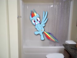 Size: 4000x3000 | Tagged: safe, rainbow dash, pegasus, pony, bathtub, female, irl, mare, photo, ponies in real life, shower, solo, surprised, toilet, vector