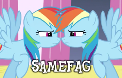 Size: 569x363 | Tagged: safe, screencap, rainbow dash, pegasus, pony, clone, eye contact, female, image macro, looking at each other, mare, samefag