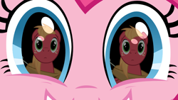 Size: 1000x563 | Tagged: safe, big macintosh, pinkie pie, earth pony, pony, close-up, female, grin, male, mare, pinkiemac, reflection, shipping, smiling, stallion, straight