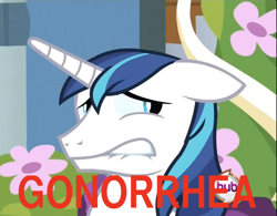 Size: 602x469 | Tagged: safe, shining armor, pony, unicorn, gmod idiot box, gonorrhea, horn, male, two toned mane, two toned tail, white coat